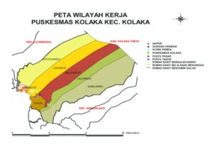 Peta Demografi Wilayah Kerja Puskesmas Kolaka